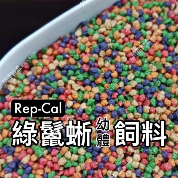 Rep-Cal 綠鬣蜥飼料(幼體)