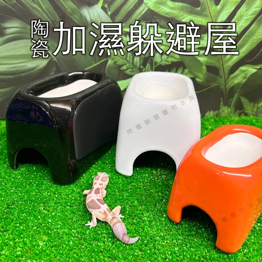Petpetzone 陶瓷加濕洞穴