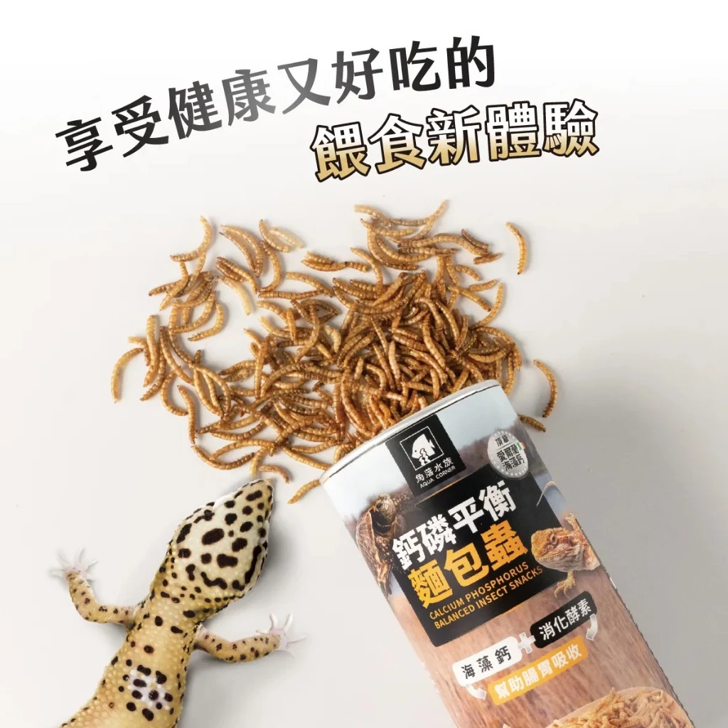 角落水族 南極蝦 麵包蟲 黑水虻