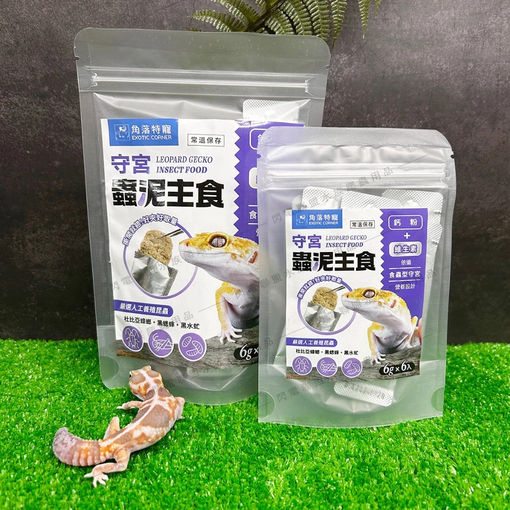 角落特寵 守宮蟲泥主食