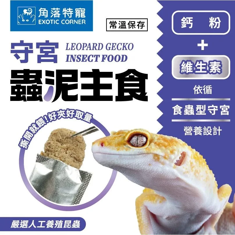 角落特寵 守宮蟲泥主食