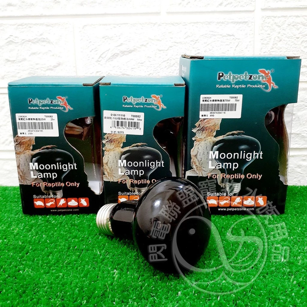 Petpetzone 夜間紅外線聚熱燈泡