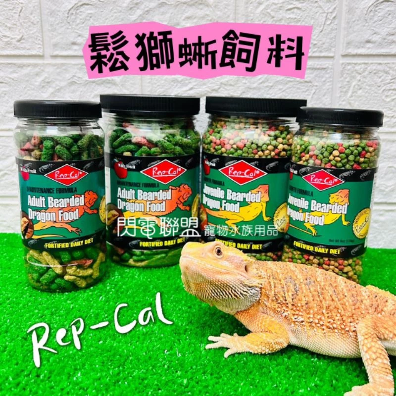 Rep-cal 鬆獅蜥飼料