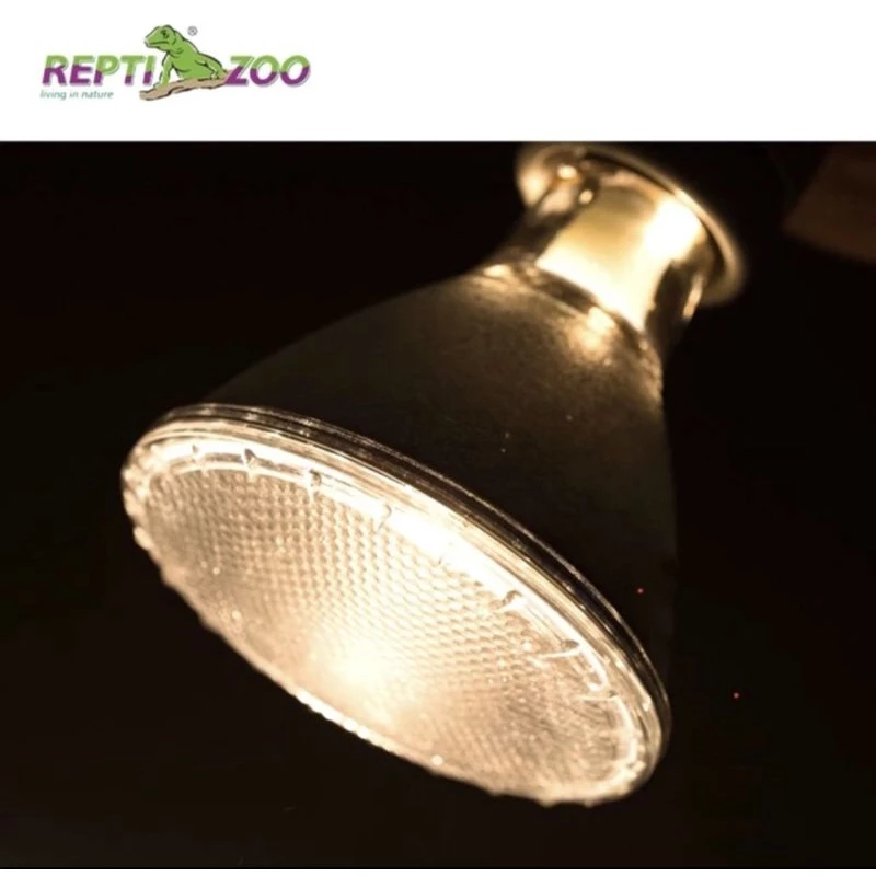 REPTIZOO 聚熱燈泡