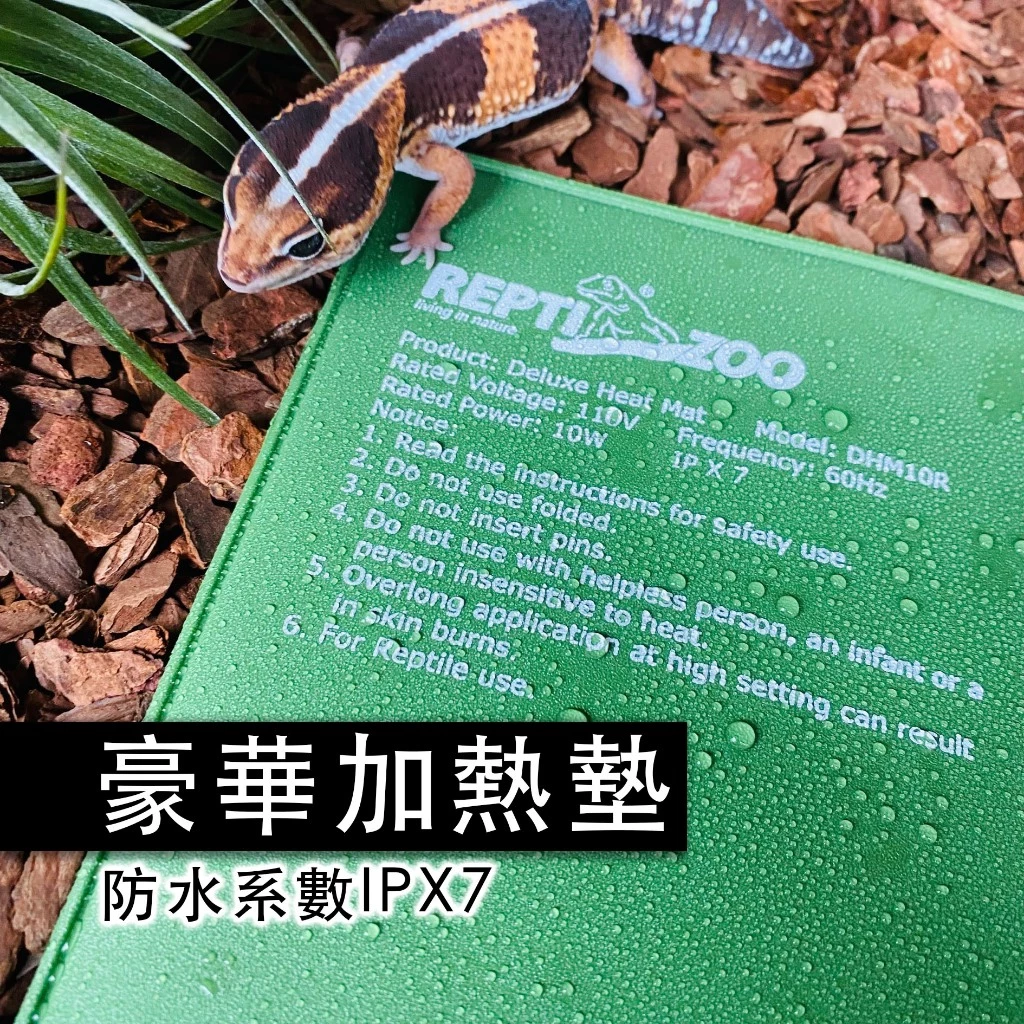  REPTIZOO 豪華加熱墊
