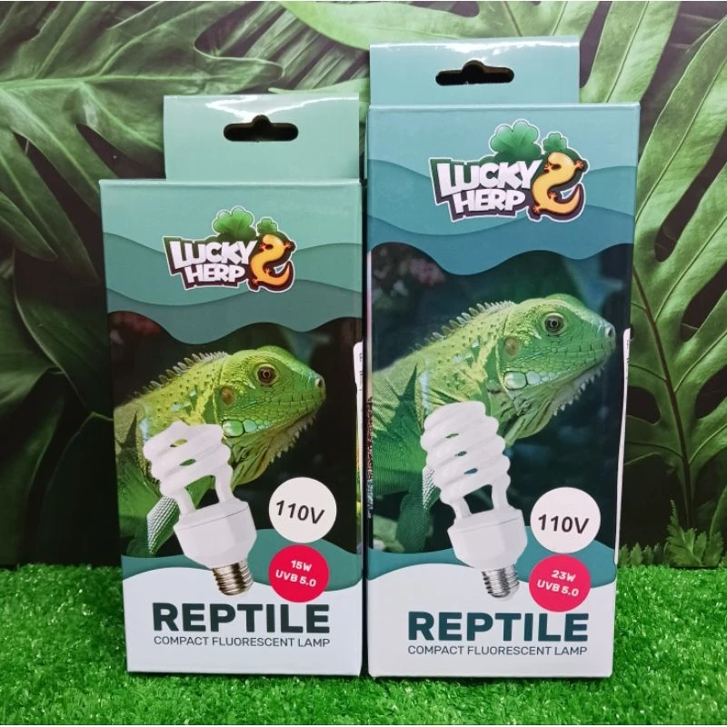 LUCKHERP 螺旋燈泡