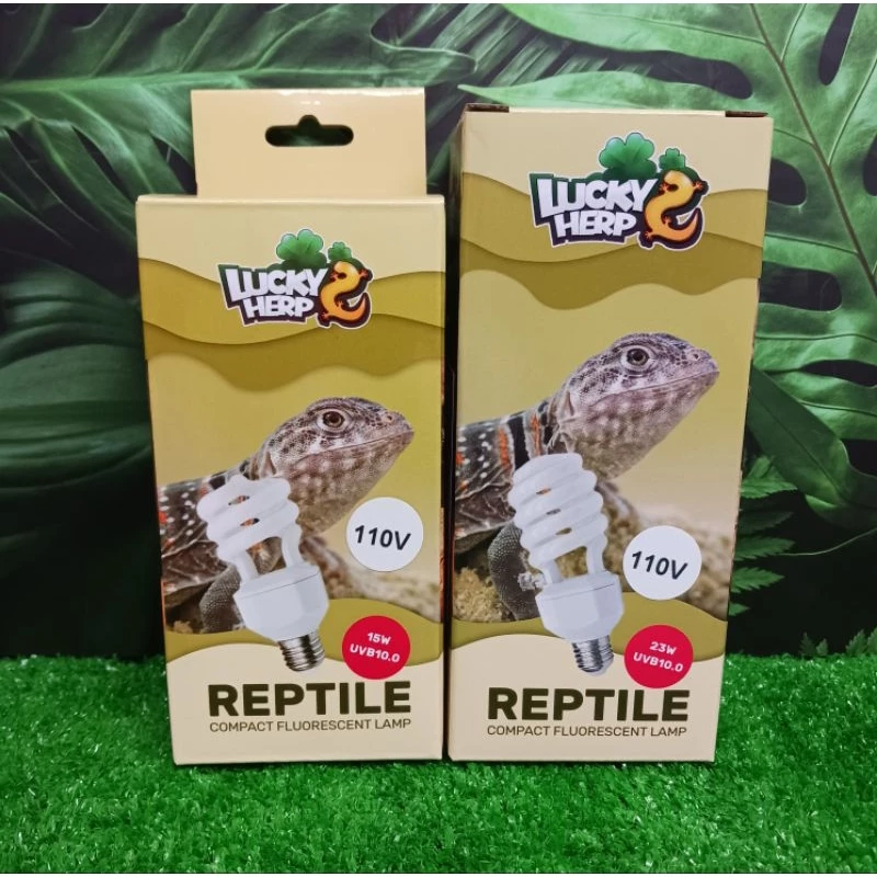 LUCKHERP 螺旋燈泡