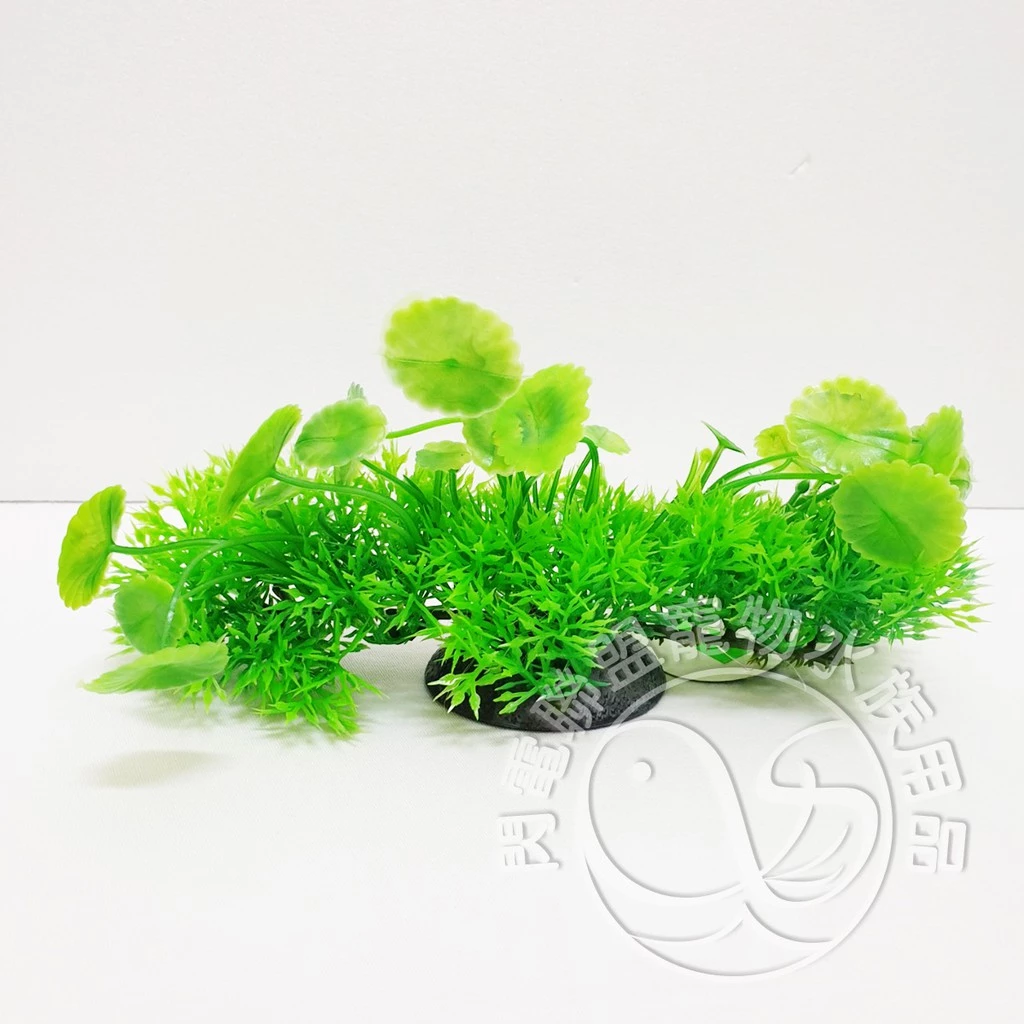 【閃電聯盟】假水草 仿真水草 造景飾品 香菇草&火焰莫斯草 (假水草)約20*11cm 造景裝飾 魚缸造景 塑膠假花