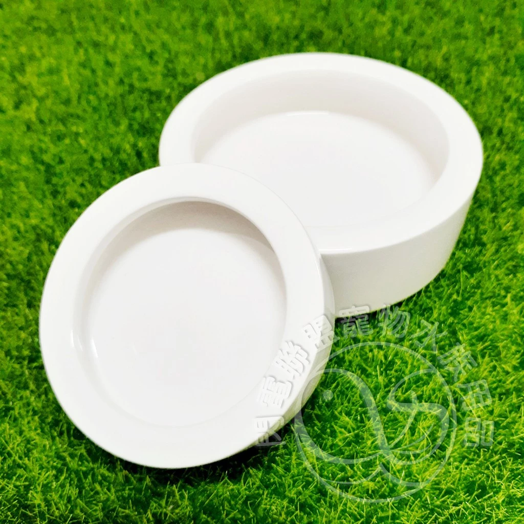 【閃電聯盟】防逃食盆 餵食盆 防逃脫食盆 爬蟲食盆 守宫食盆 蜥蜴 守宮 刺蝟 蜜袋鼯 變色龍 麵包蟲 杜比亞