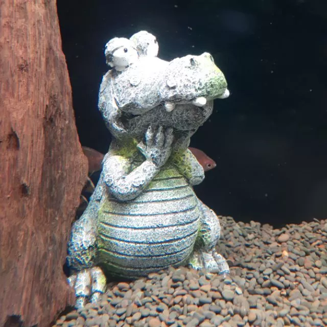 【閃電聯盟】氣動式 鱷魚/大眼青蛙/大眼鱷魚 水族擺飾 (需連接打氣機使用) 增加溶氧量 水族先生 Mr.Aqua