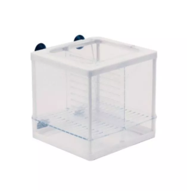 【閃電聯盟】伊士達 ISTA 雙層隔離繁殖網 幼魚盒 產子盒 飼養盒 繁殖箱 隔離網 幼魚隔離 傷魚隔離