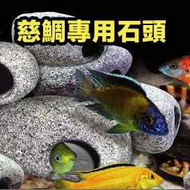  UP 慈鯛專用石頭