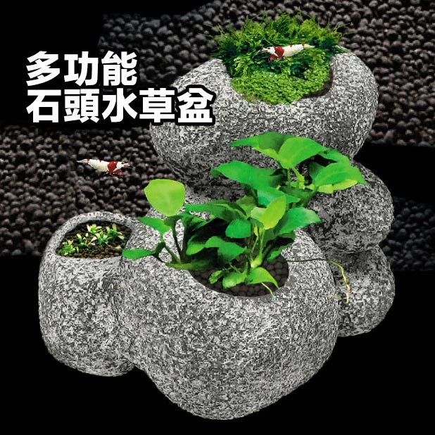 UP 多功能石頭水草盆