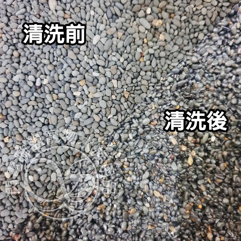 亞馬遜河砂