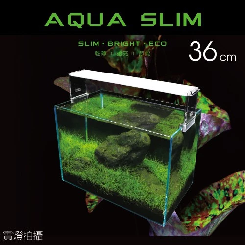 ISTA 高透光水草燈