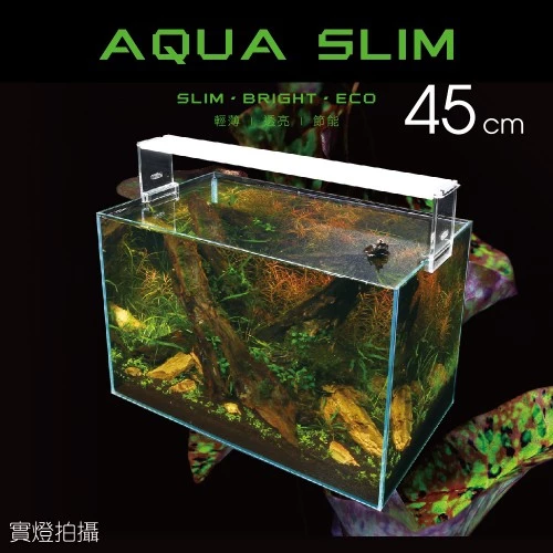 ISTA 高透光水草燈