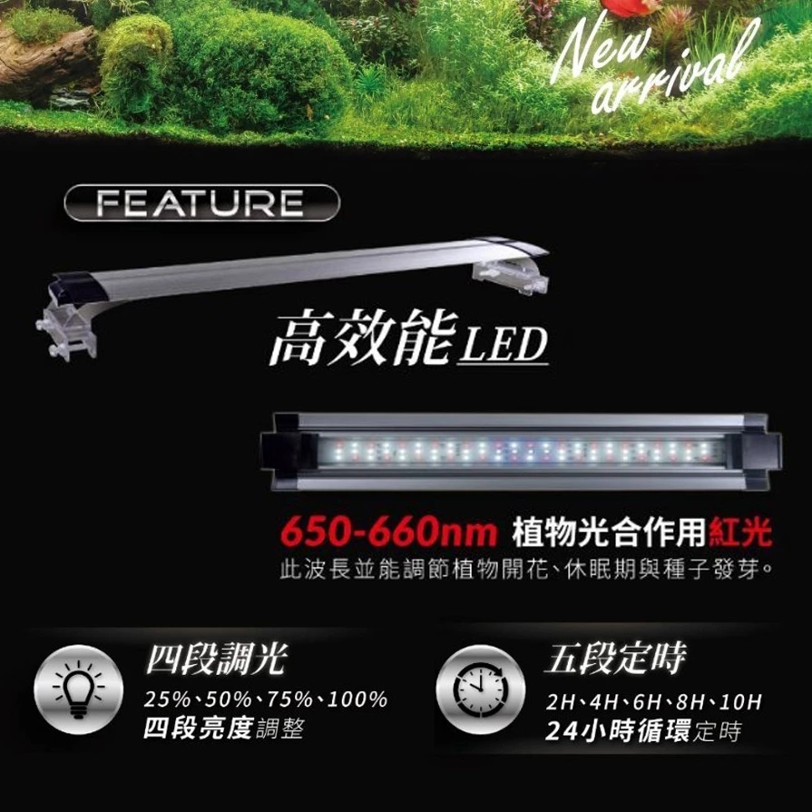 欣茂電器 P80 定時調光燈 