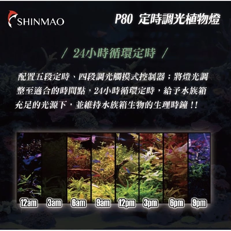 欣茂電器 P80 定時調光燈 