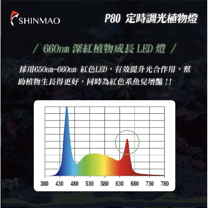 欣茂電器 P80 定時調光燈 