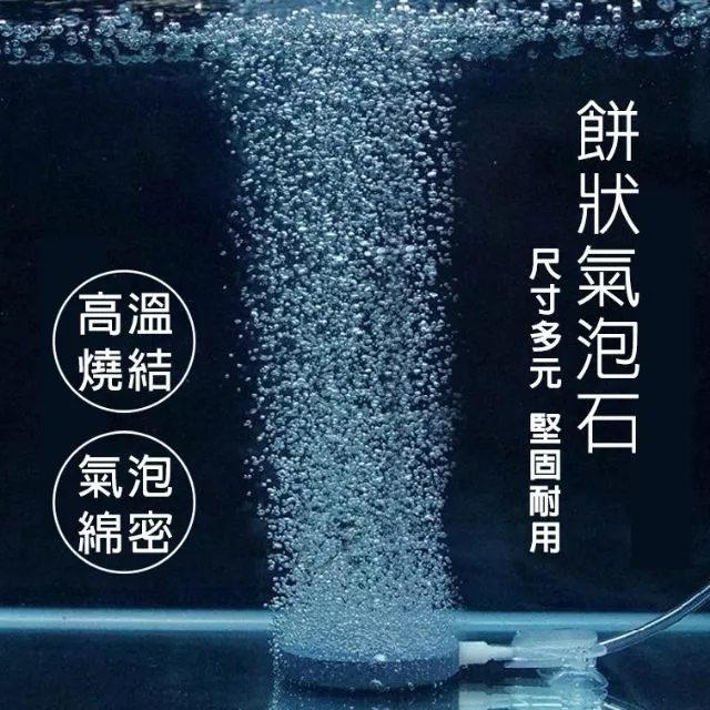 餅狀氣泡石 