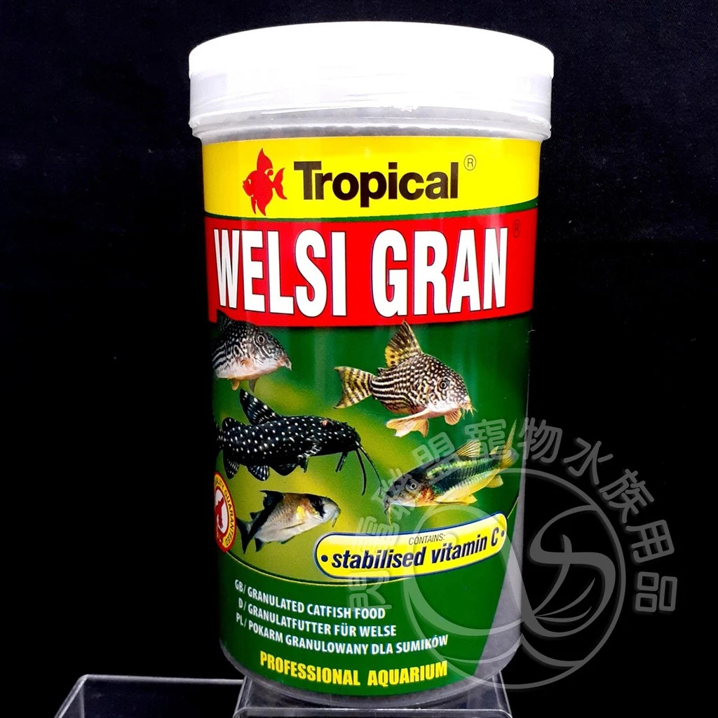 Tropical 抗緊迫鼠魚