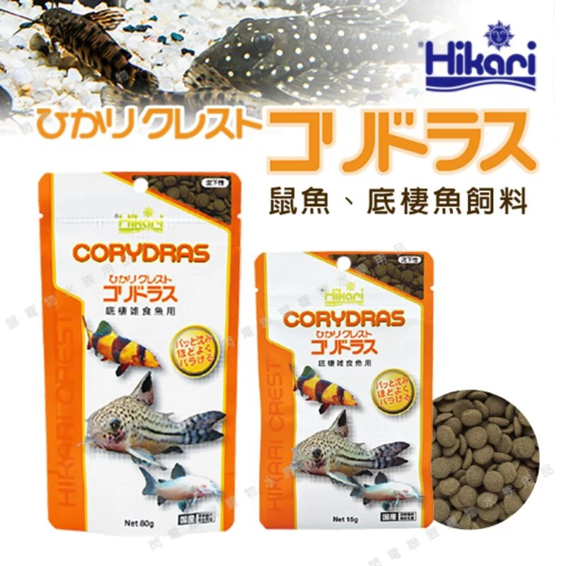  Hikari 鼠科魚飼料