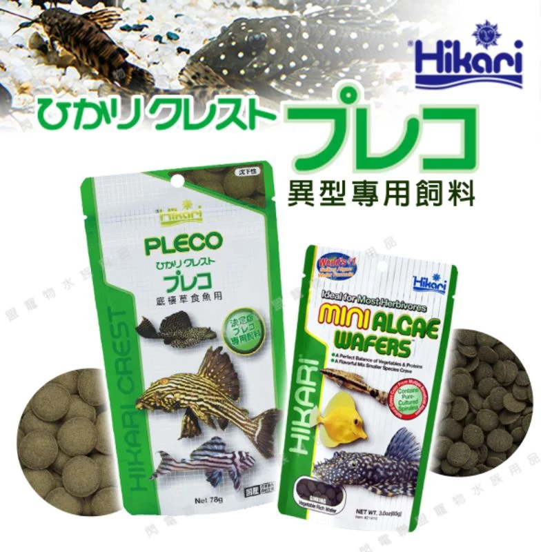 Hikari 異型飼料