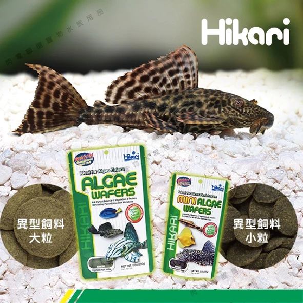 Hikari 異型飼料