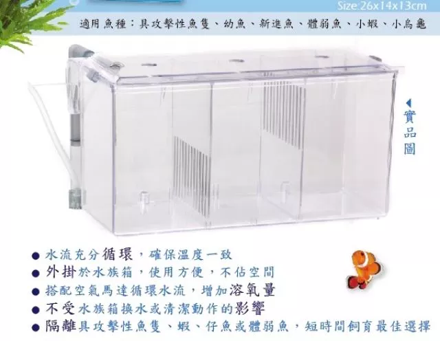  ISTA 外掛式 繁殖產卵盒 