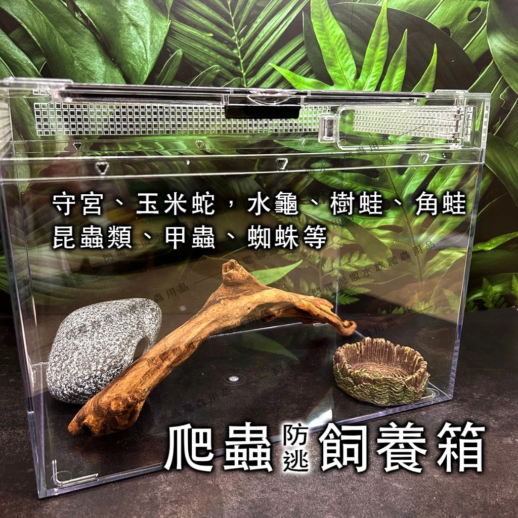 爬蟲先生 壓克力兩棲飼養箱 爬蟲箱