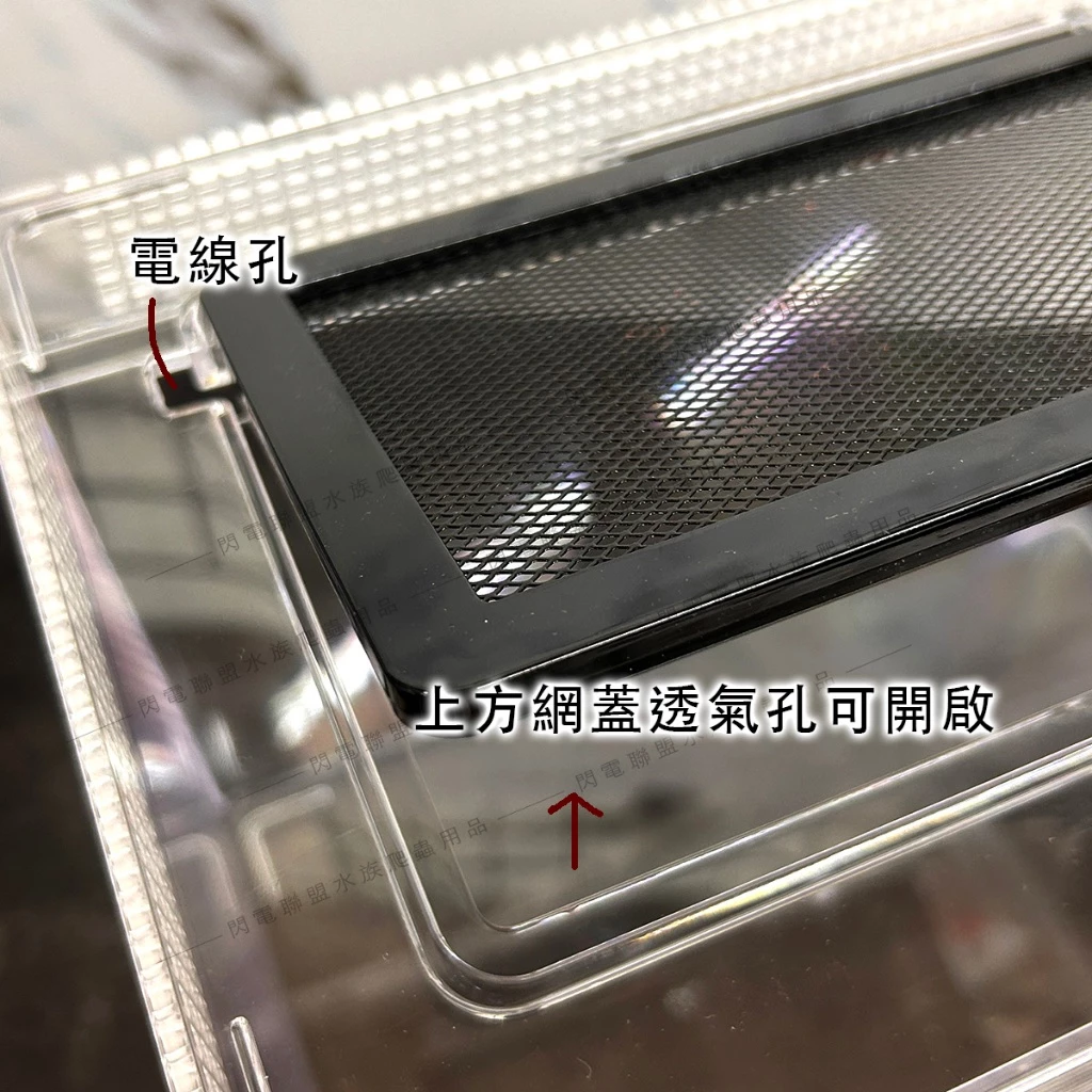 爬蟲先生 壓克力兩棲飼養箱 爬蟲箱