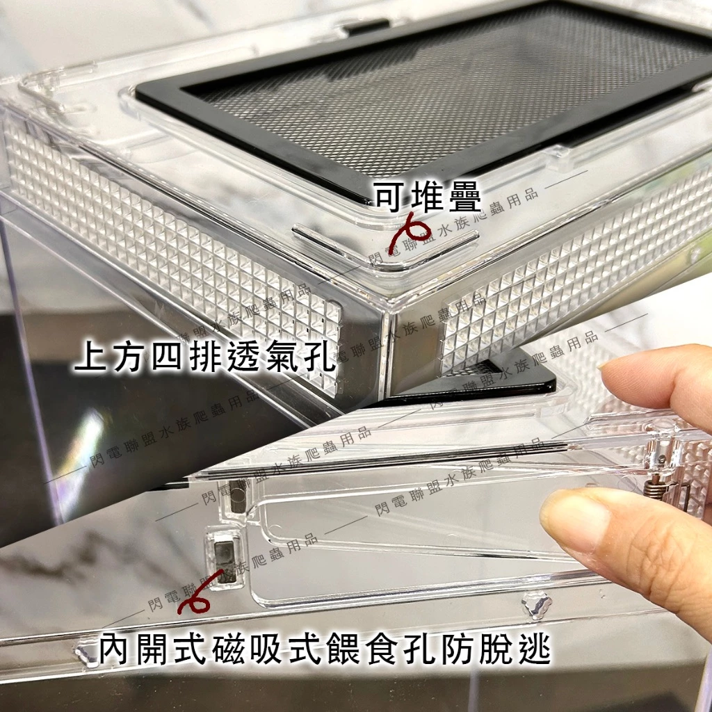 爬蟲先生 壓克力兩棲飼養箱 爬蟲箱