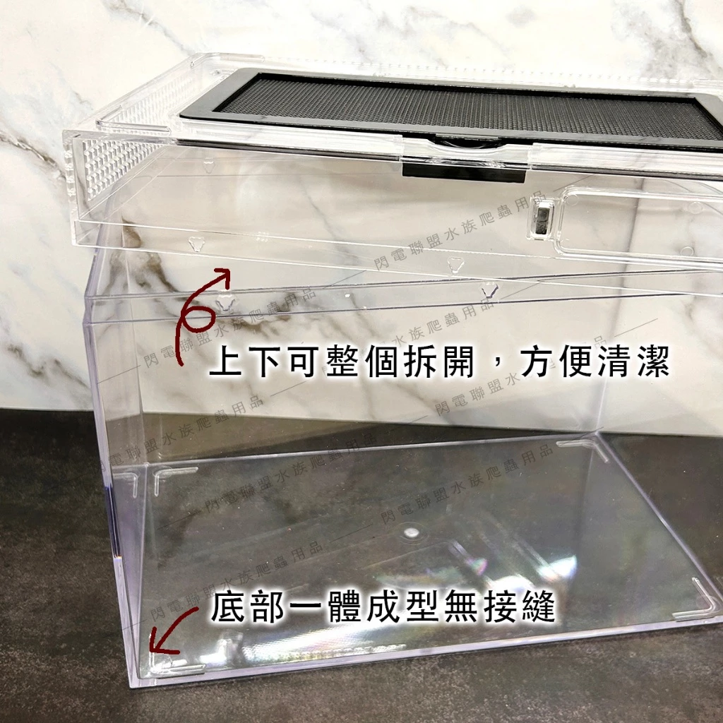 爬蟲先生 壓克力兩棲飼養箱 爬蟲箱